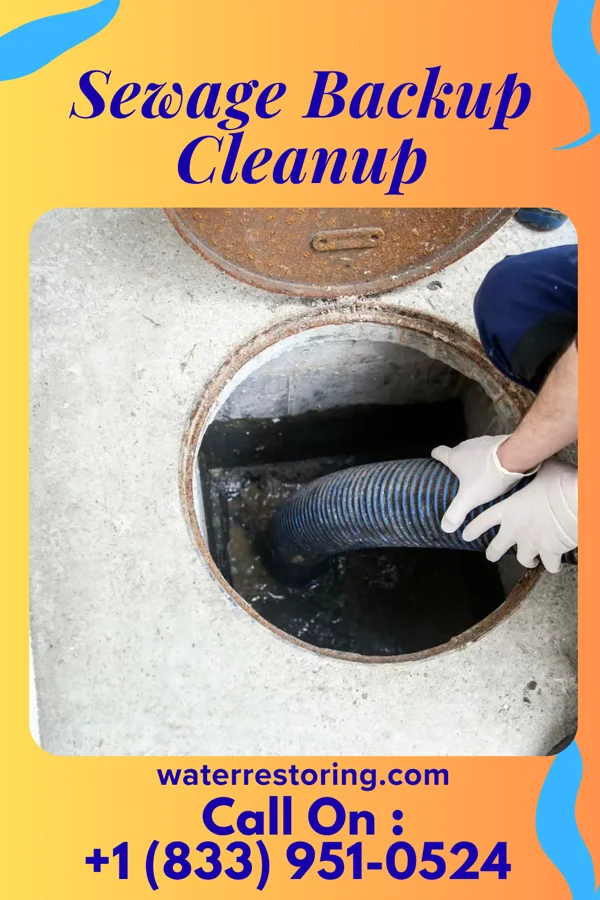 Sewage Backup Cleanup in West Point, MS