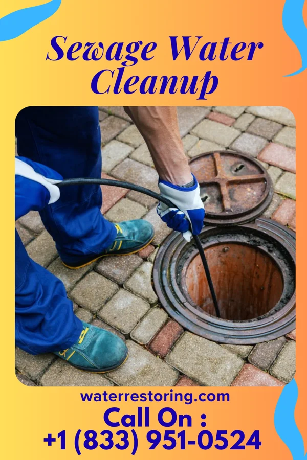 Sewage Water Cleanup in West Point, MS
