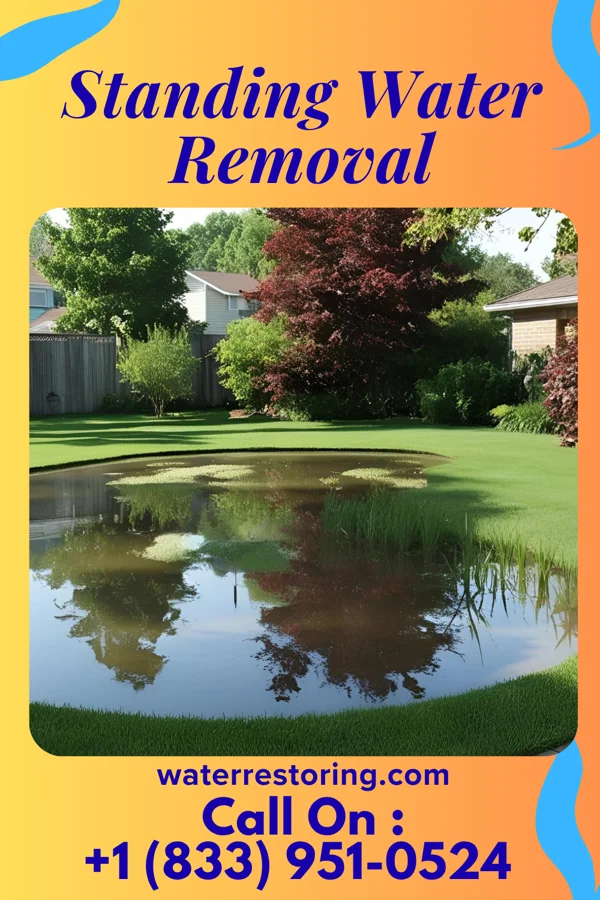 Standing Water Removal in West Point, MS